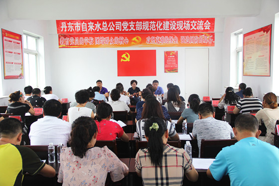 黨支部規范化建設交流_副本 黨支部規范化建設交流_副本